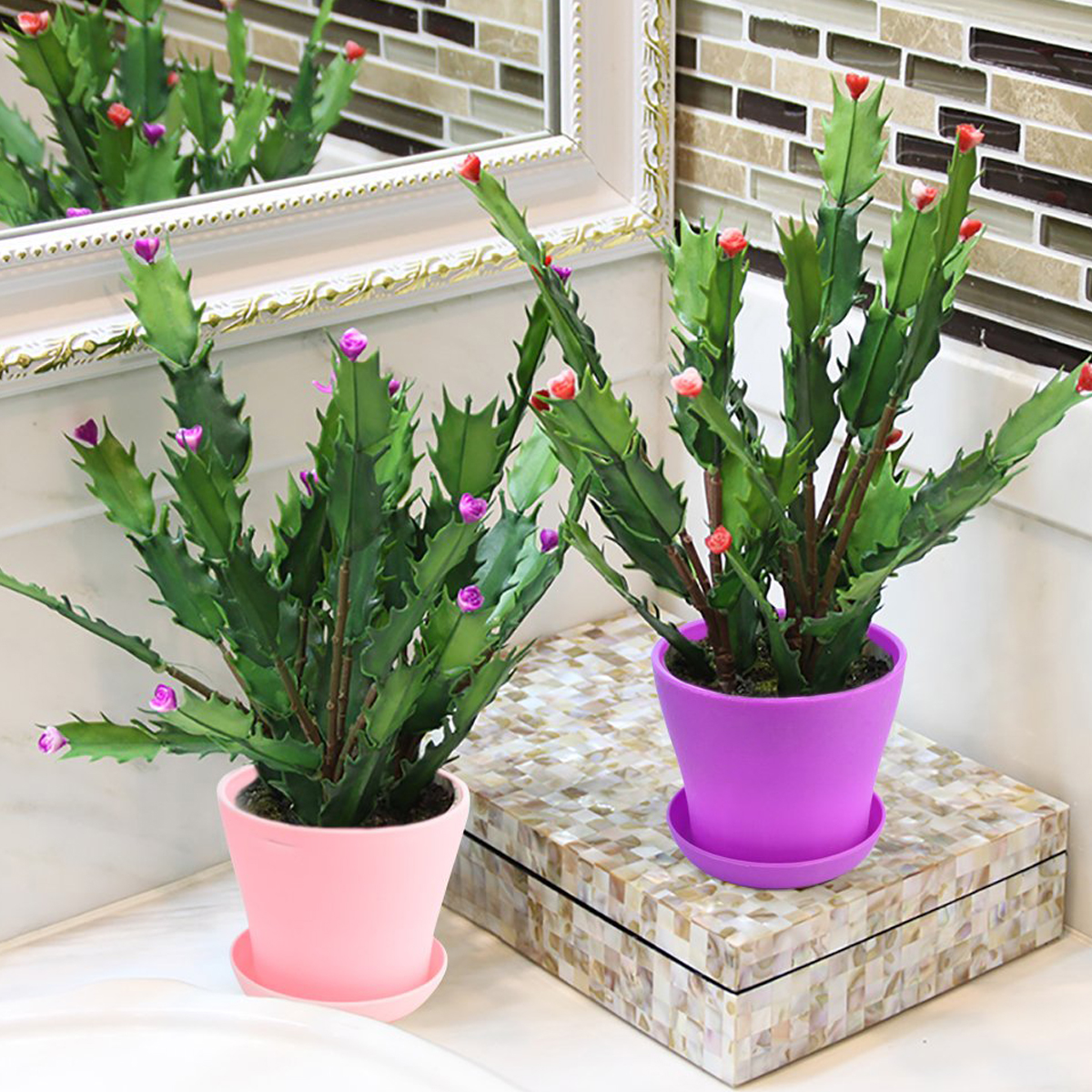 Mini Plastic Plant Pot 4