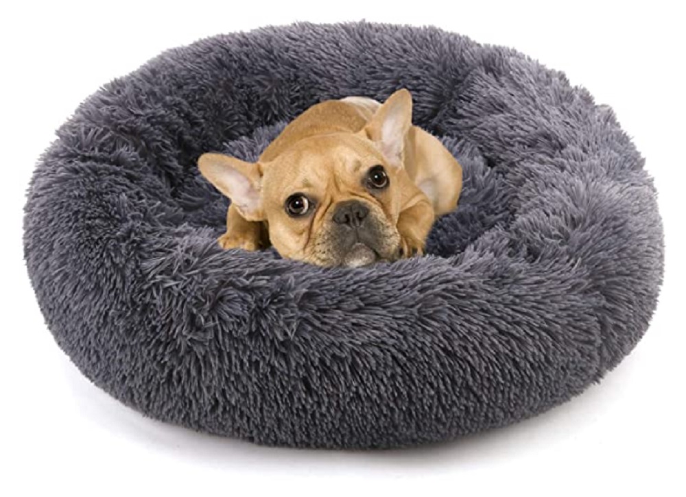 Multiple Sizes Cat And Dog Bed 2