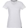 Women's SOMOTO Eco Short Sleeve Tee 130