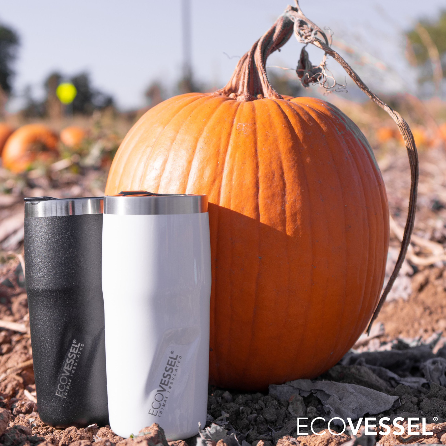 EcoVessel® The Metro 16 oz. Vacuum Insulated Tumbler 7