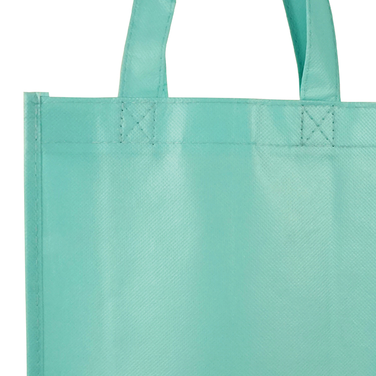 Sundale Small Matte Laminated Tote Bag 6