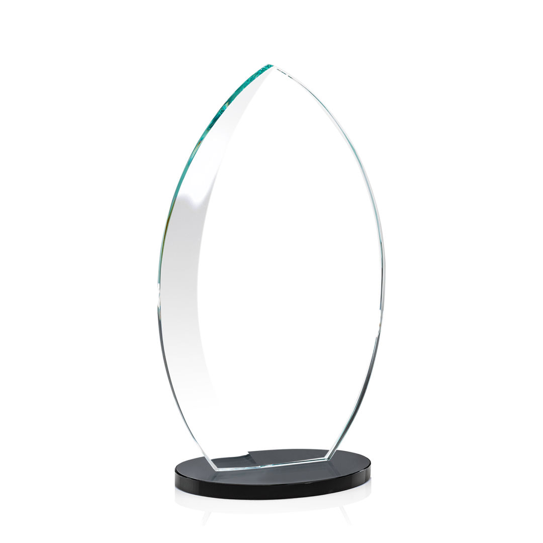 Windermere Award - Black 6