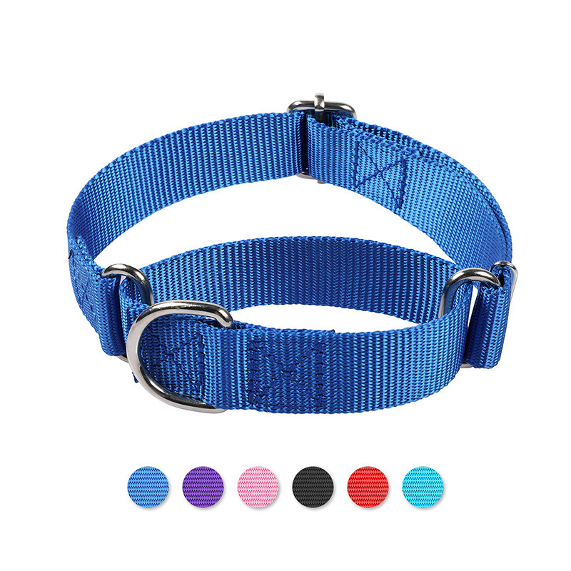Dog Collars 2