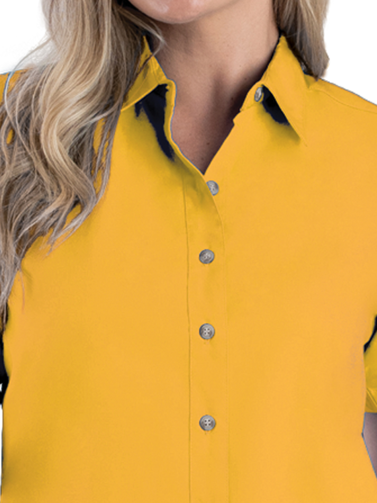 Blue Generation - Women's Pocketless Short Sleeve Superblend Poplin Shirt 34