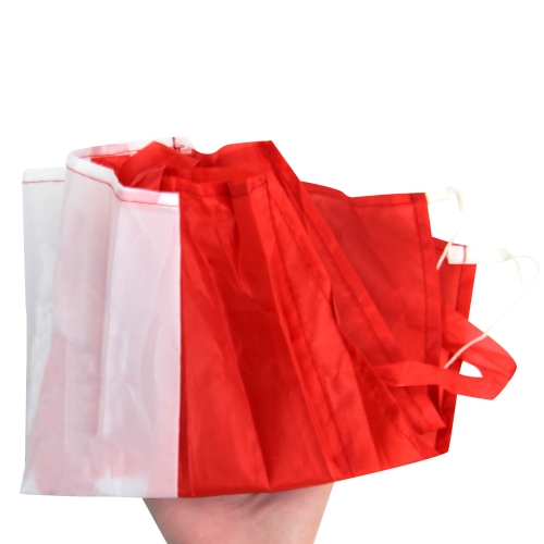 Economy Folding Eagle Kite W/ Pouch 2