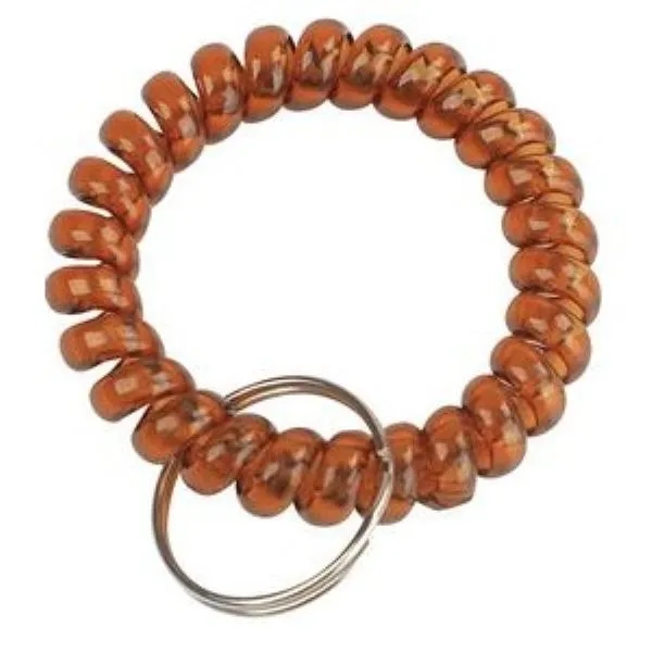 Transparency Flexible Spiral Coil Stretchable Key Chain 9