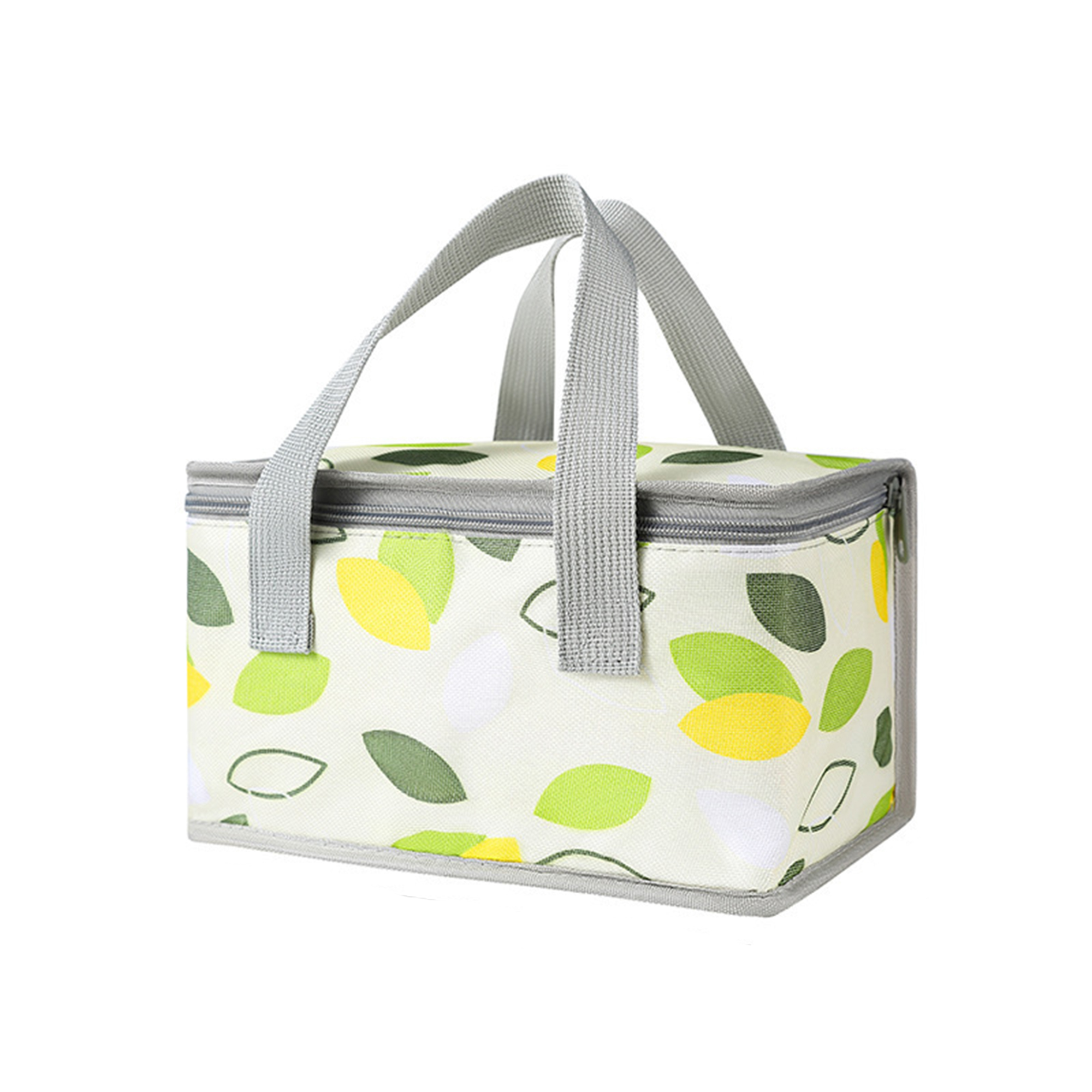 Insulated Reusable Collapsible Cooler Bag 2