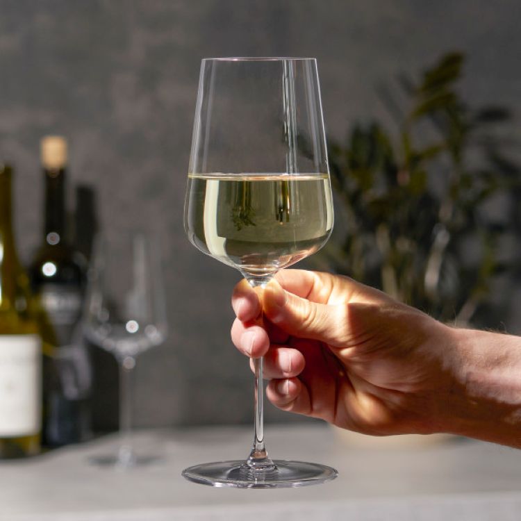 Spiegelau Definition 15.2 oz White Wine Glass, set of 2 2