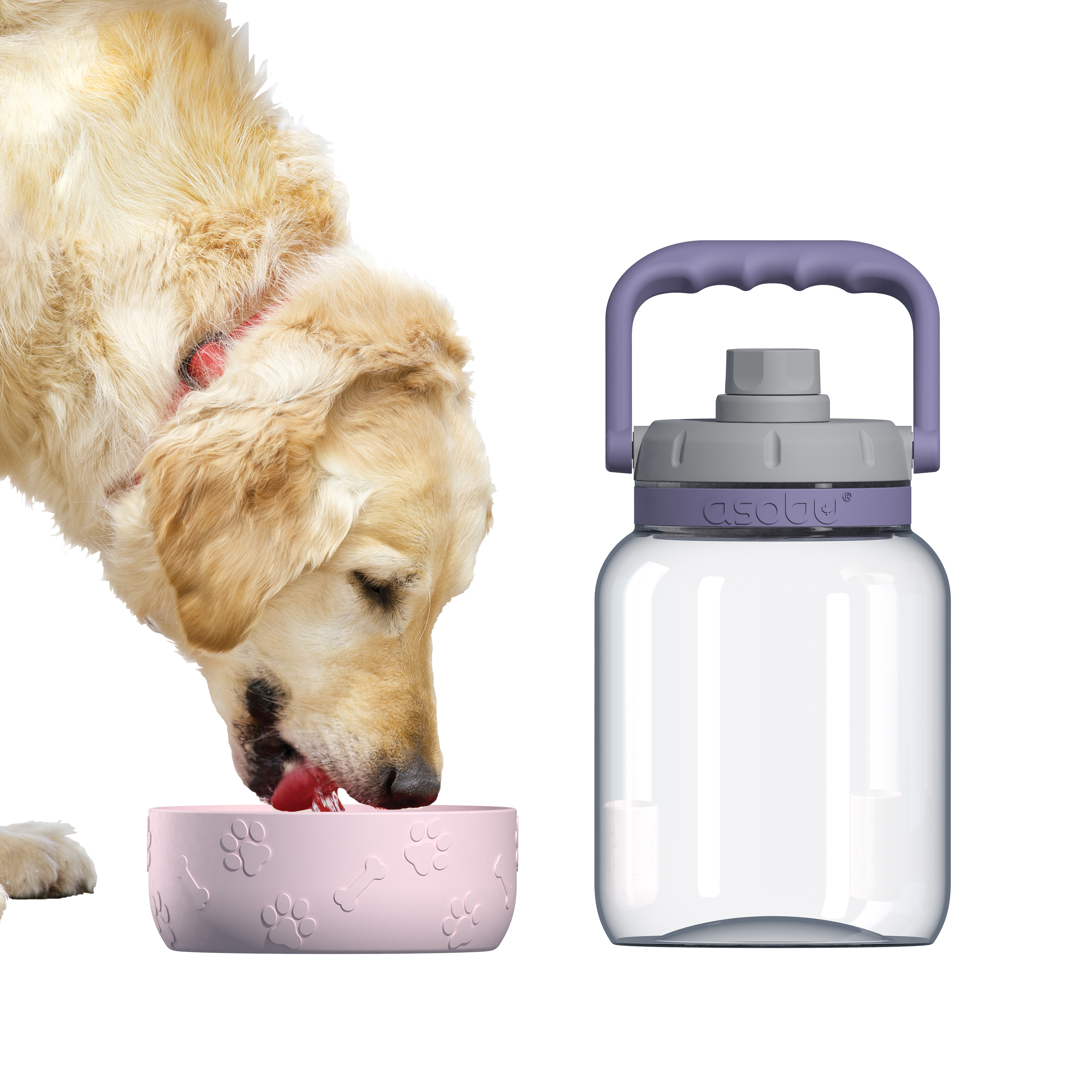 Asobu 50 Oz. The Barkley Jug w/Bowl 1