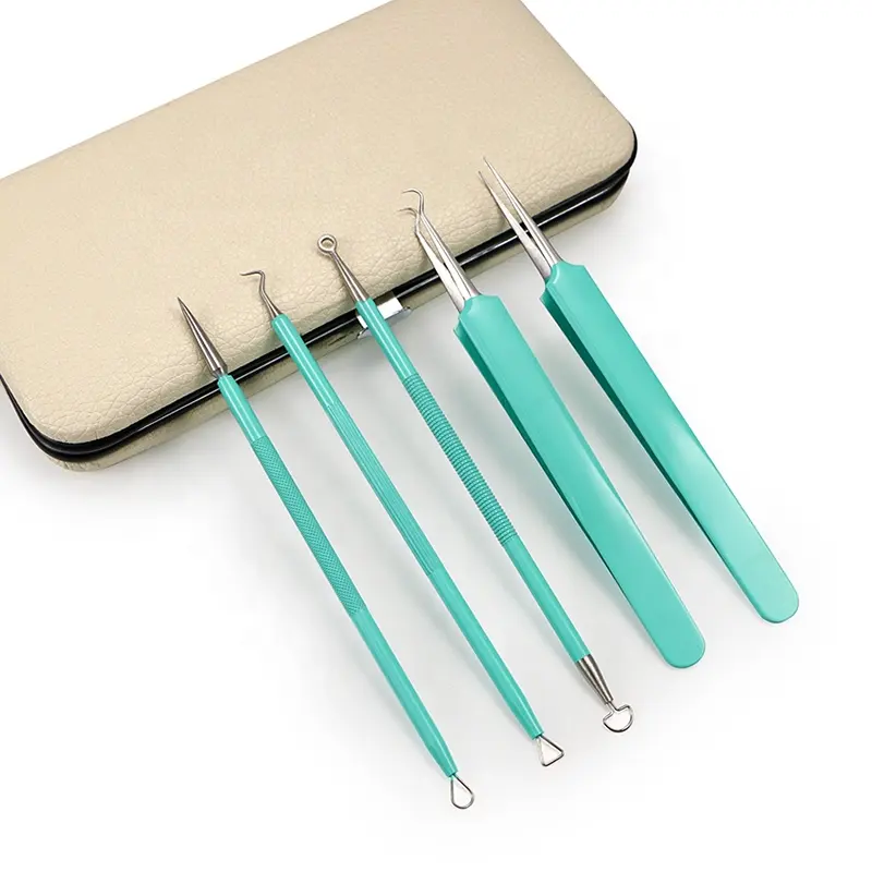 5 Pcs Acne Needle Set 2