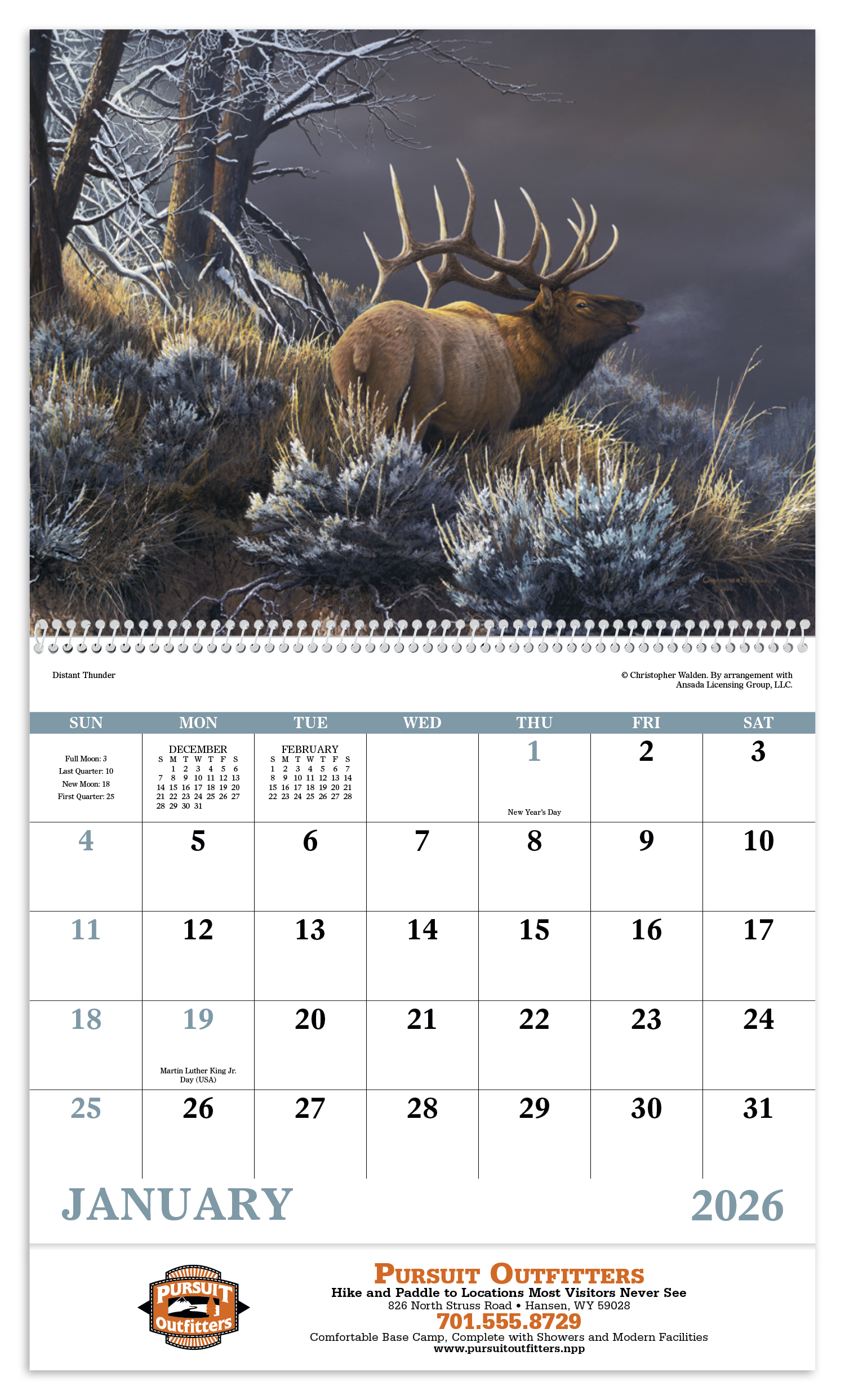 Good Value™ Wildlife Canvas - Spiral Calendar 43