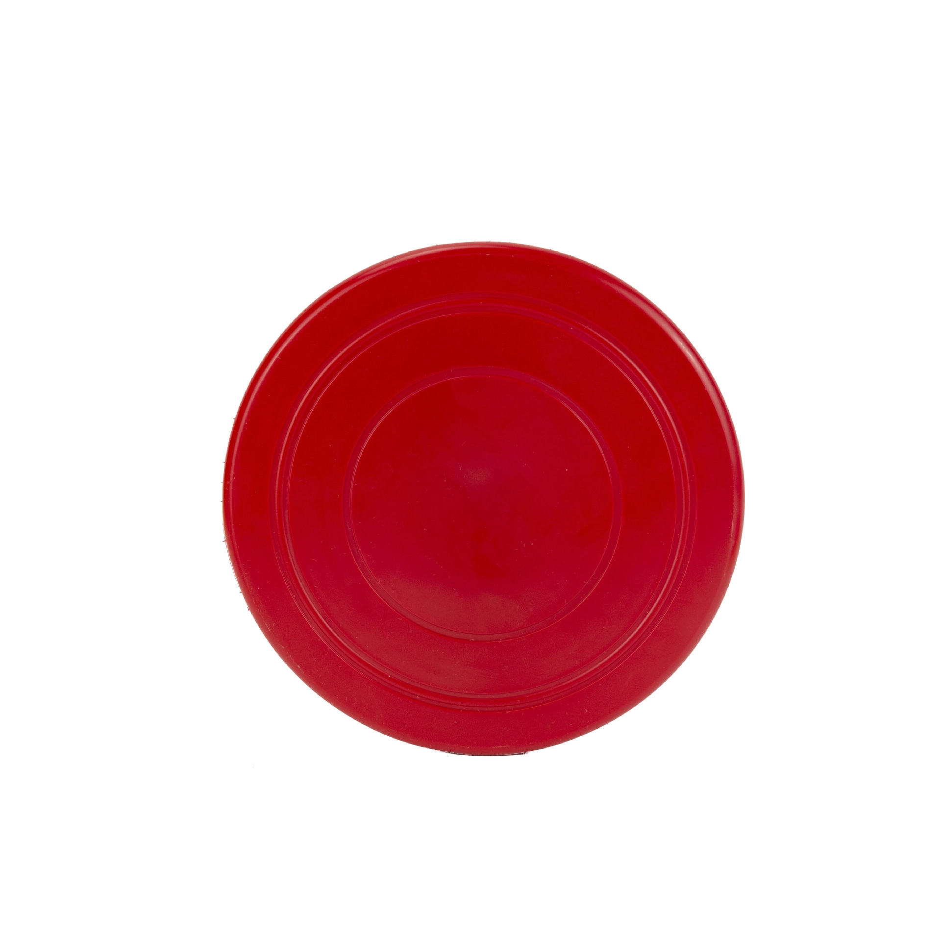 Dog Flying Disc 2