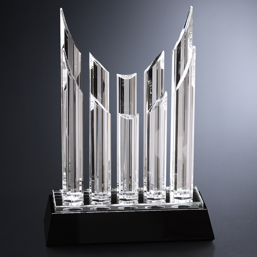 Vestige Award 13