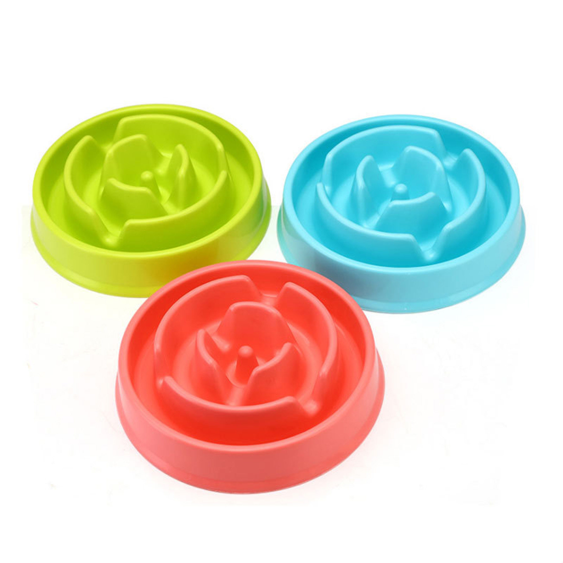 Slow Food Pet Bowl 2