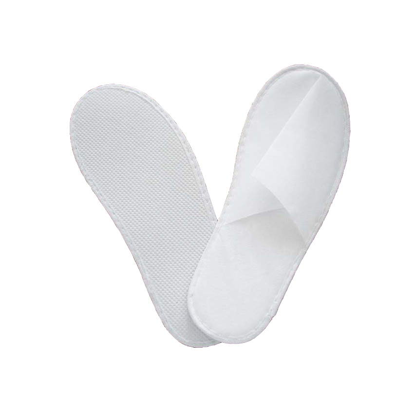 Economic Slippers 2