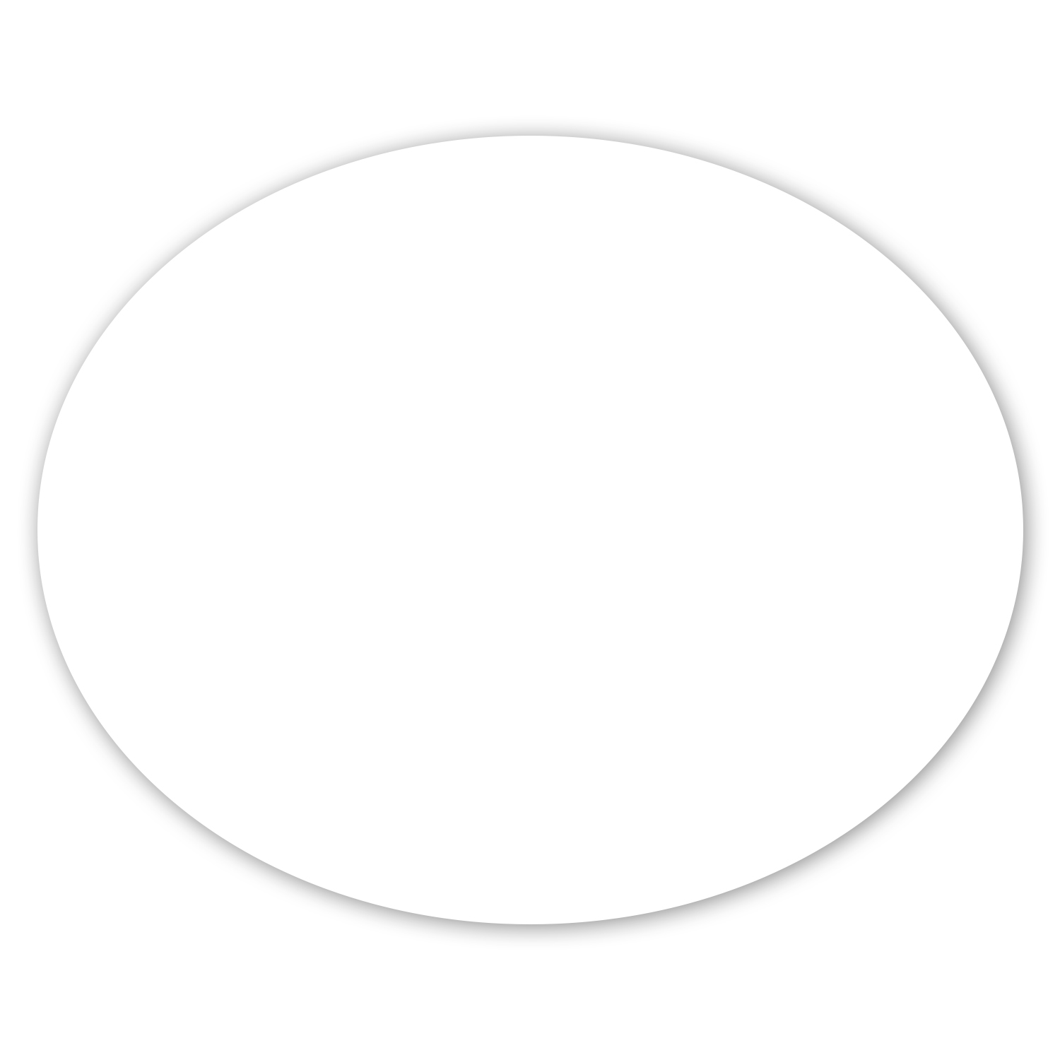 Car Sign Oval Magnet 5 x 4 1