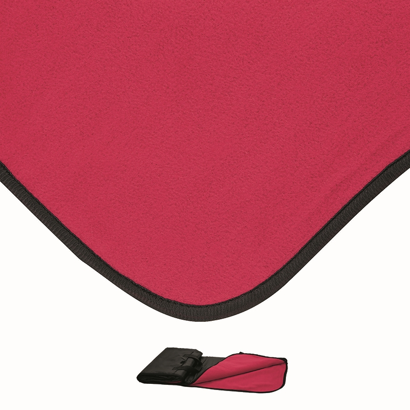 Fairview Picnic Blanket 41