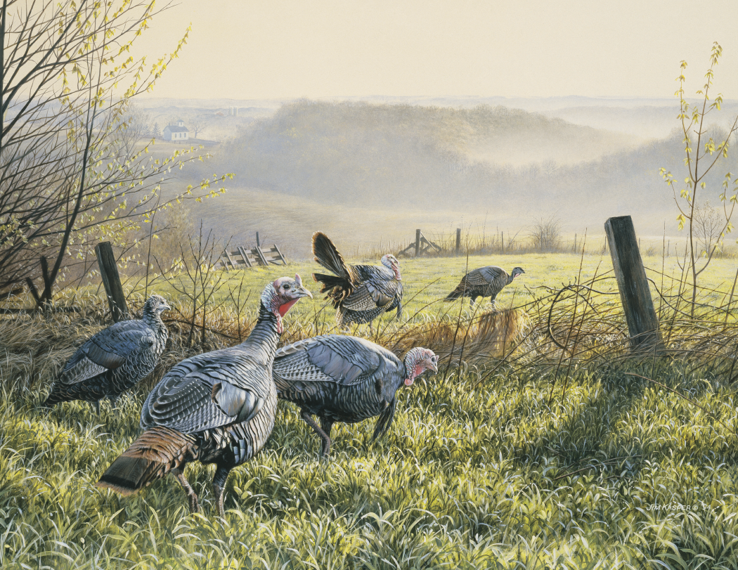 Triumph® Calendars Wildlife Art Calendar 33