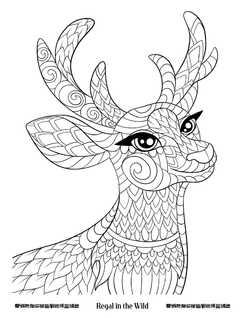 Good Value™ Wild Wonders Adult Coloring Book 19