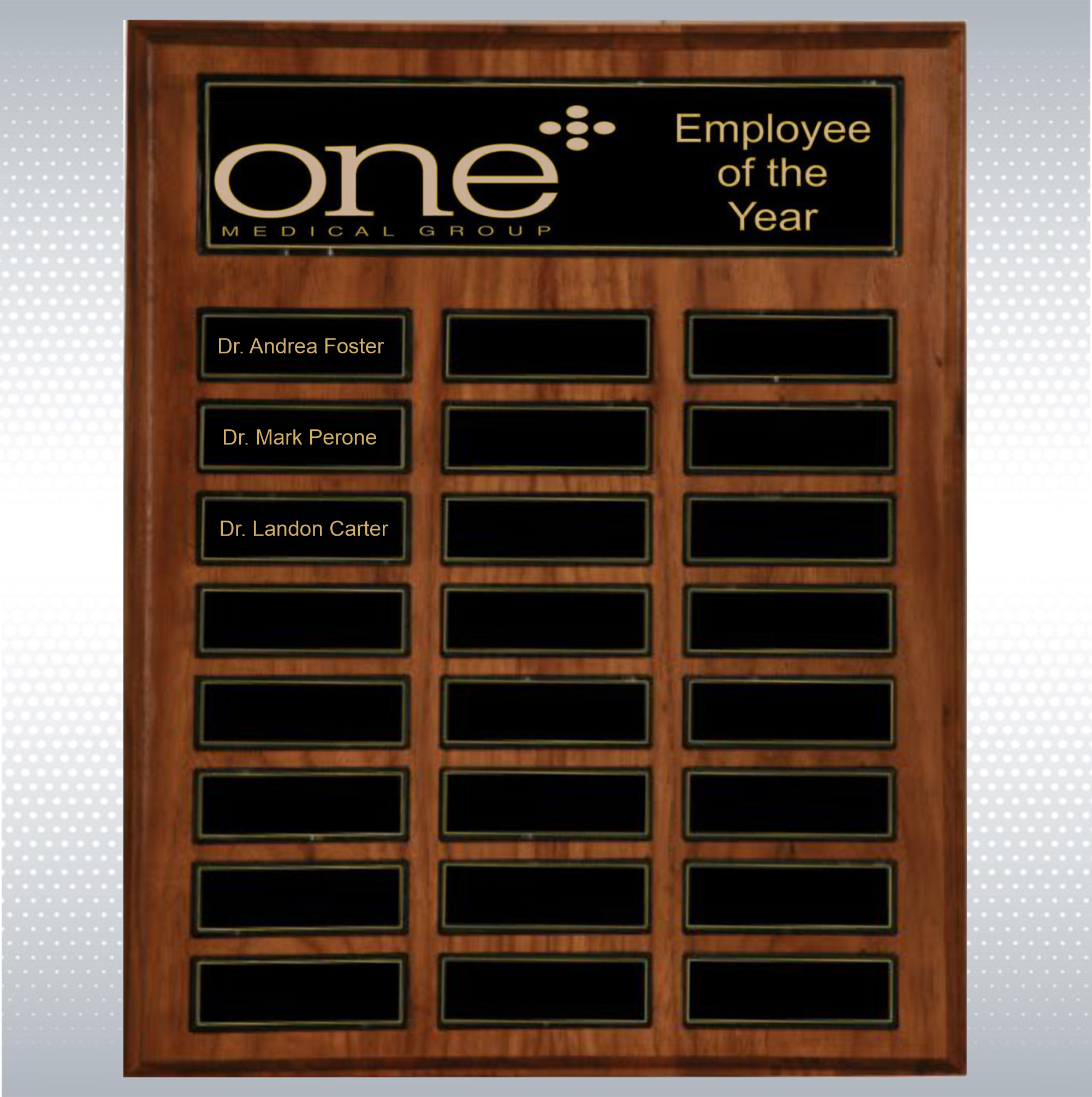 24 Plate Recognition Pocket Perpetual Plaque (12"x15") 3