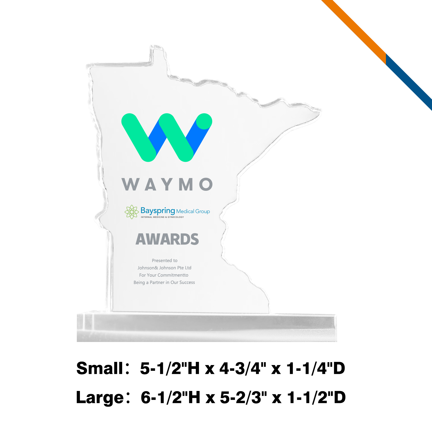 Frolix Minnesota Crystal Award 2