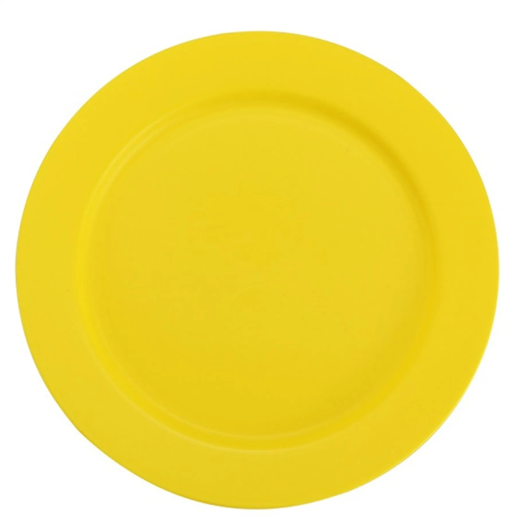 Plastic Plate 9.8 Inch 9