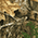 Russell Outdoors Realtree Tee RU100 5