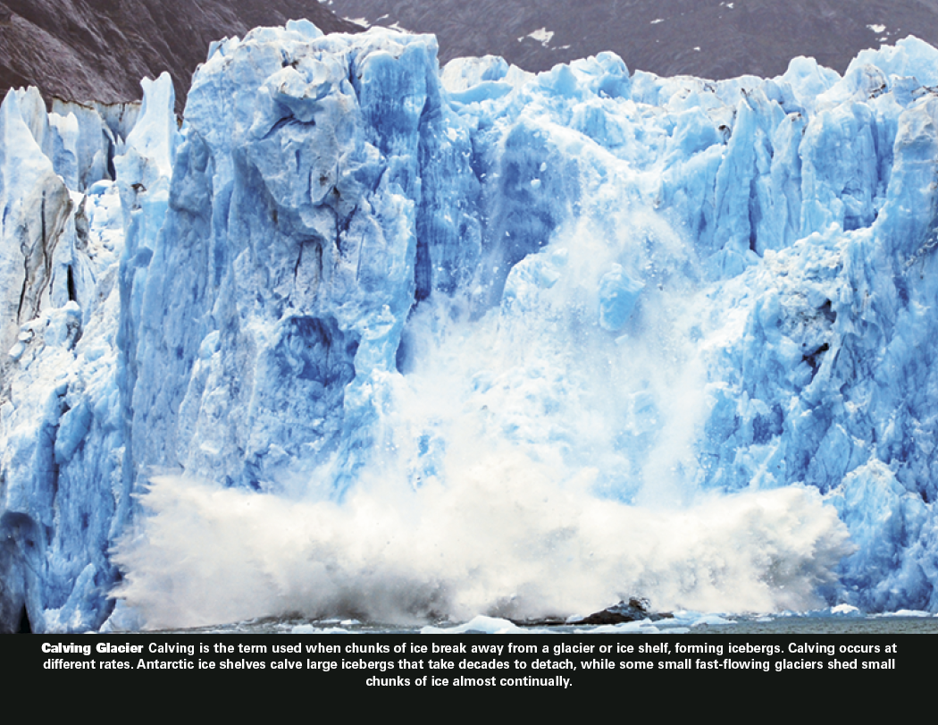Good Value™ The Power of Nature - Stapled Calendar 45