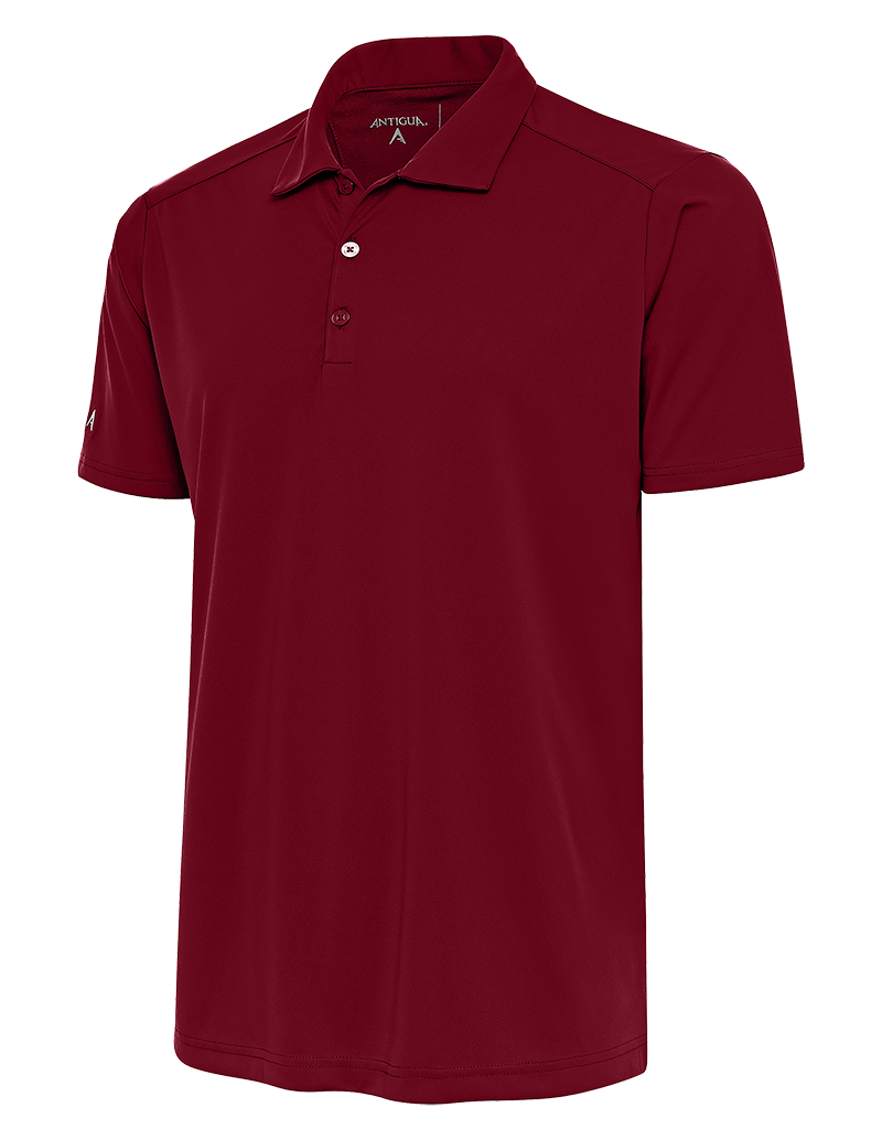 TRIBUTE POLO 10