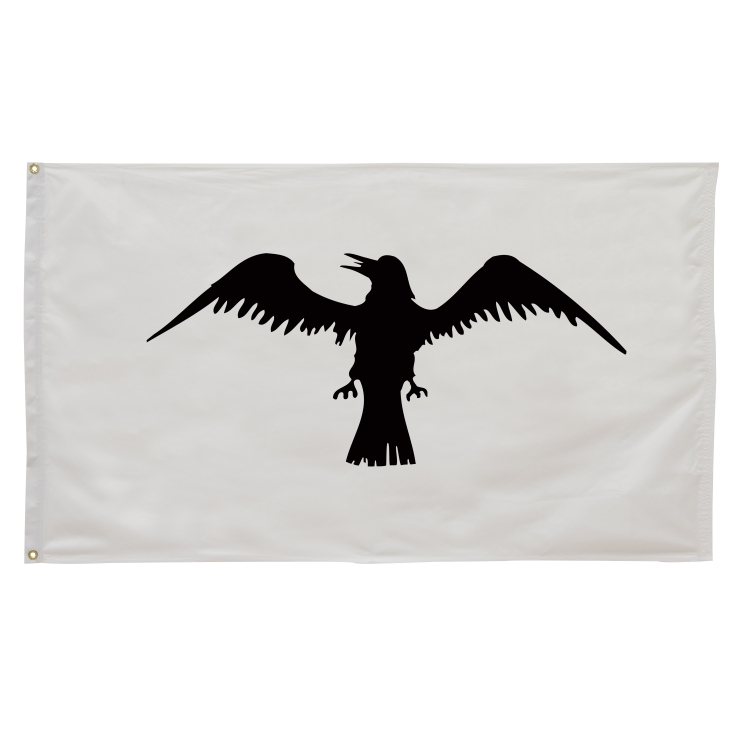 3' x 5' Historical Flags 39