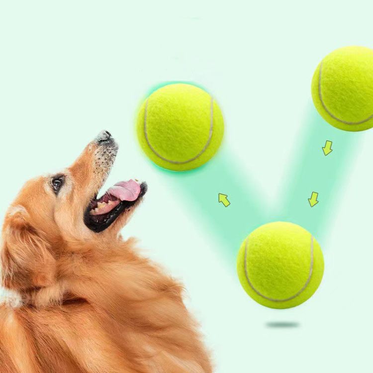 Pet Tennis Balls 2