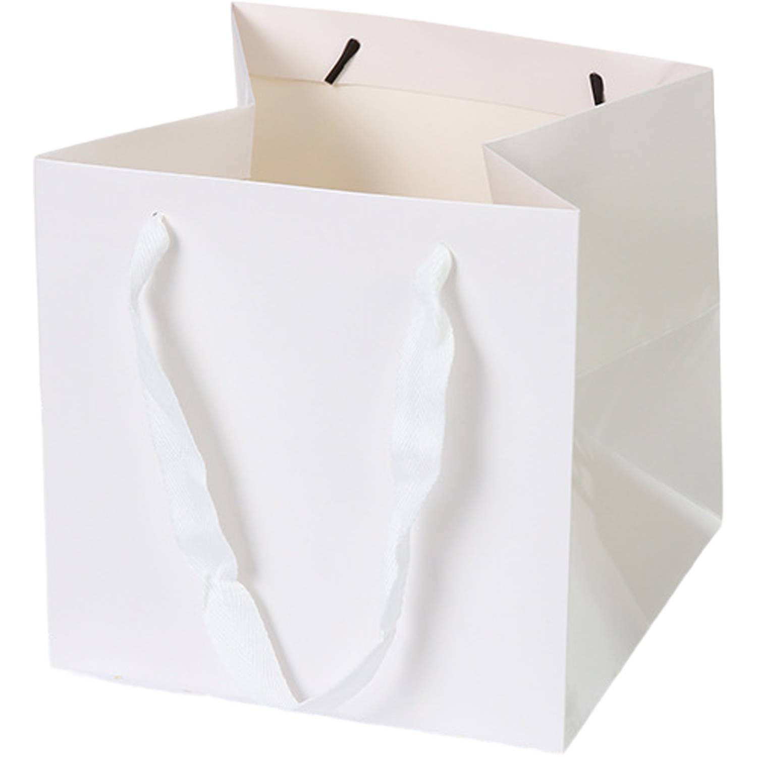 Square Gift Shopping Paper Bag w/ Handles 5