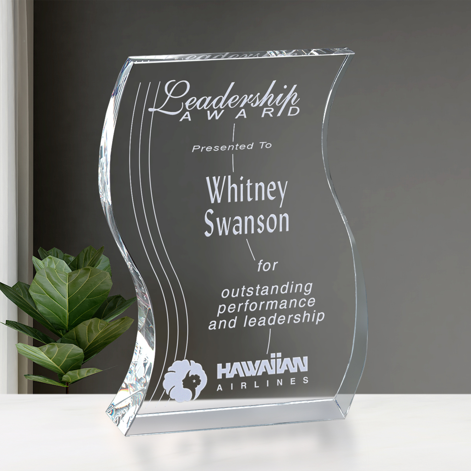 Malibu Award 4