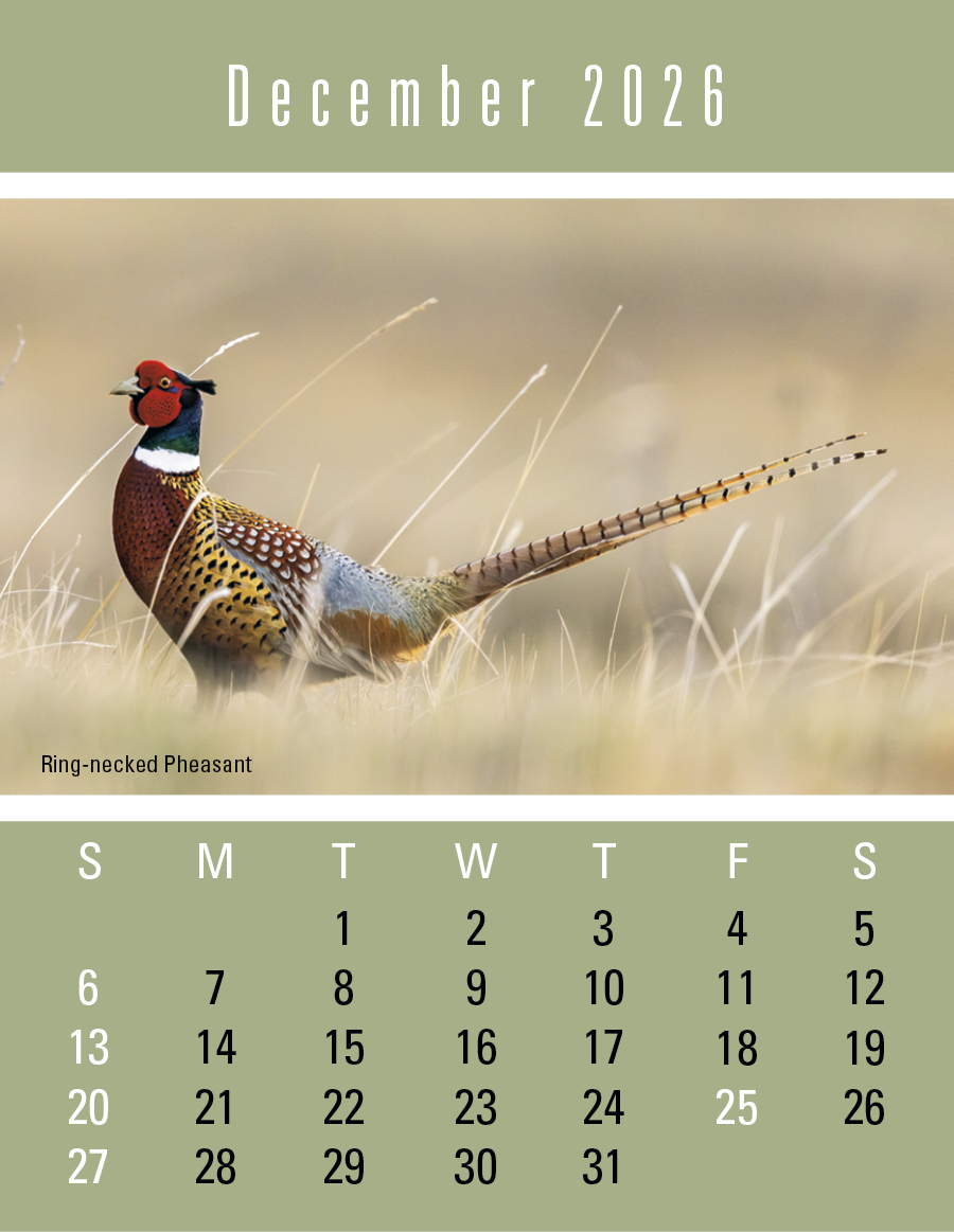 Triumph® Calendars Press-N-Stick Sportsmen Calendar 946
