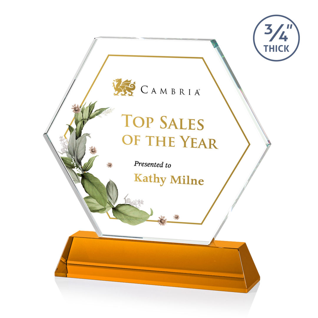 Ralston VividPrint™ Award - Amber