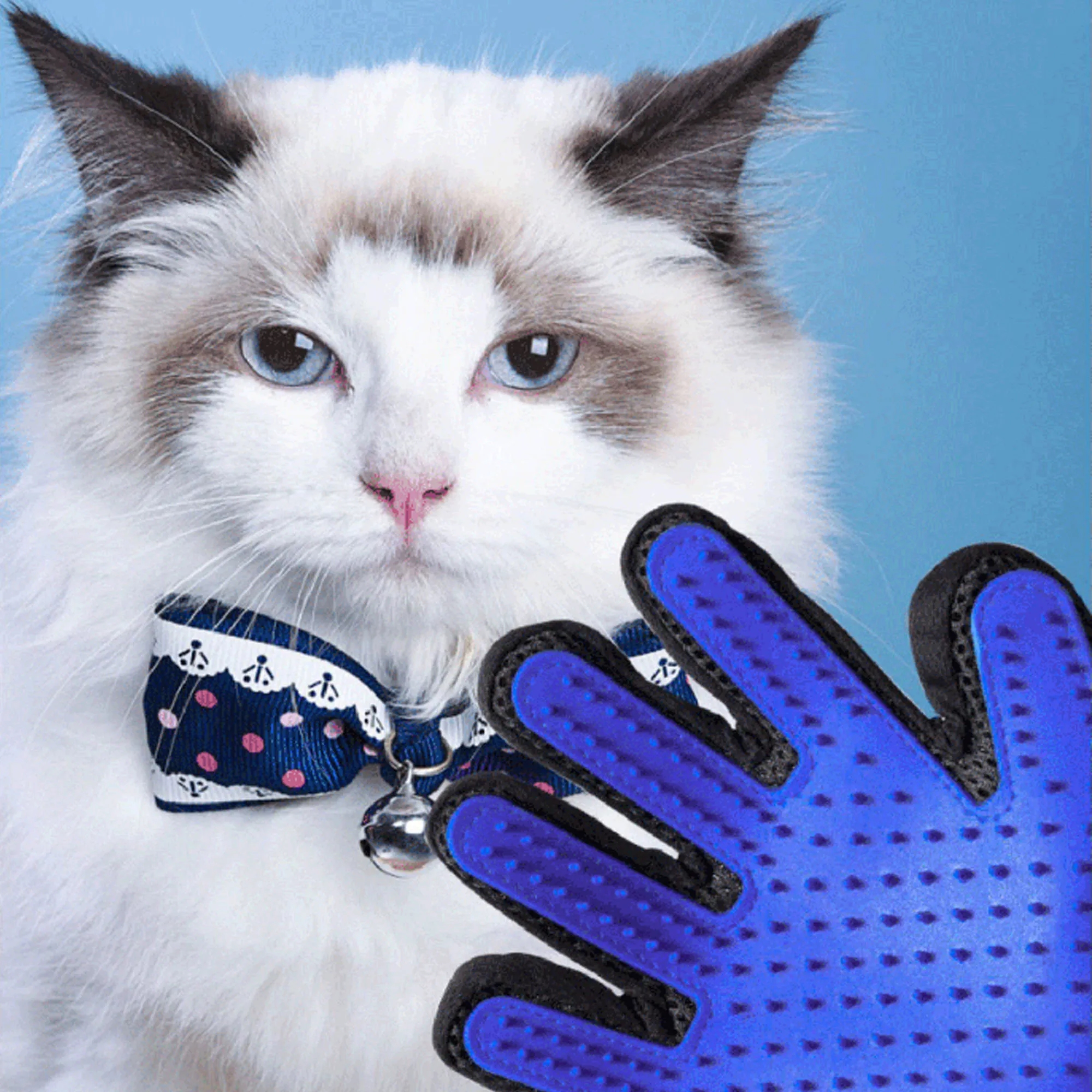 Rubber Cat Grooming Glove (single) 4