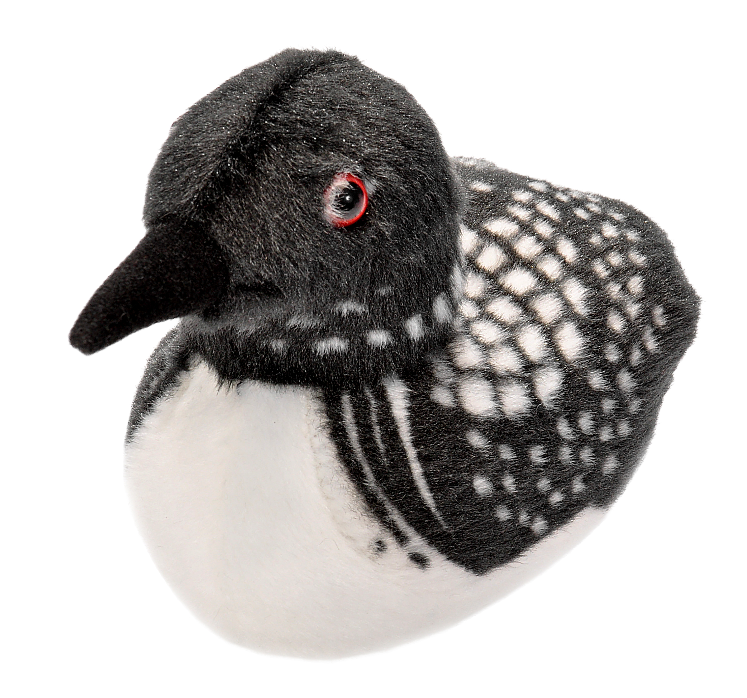 7" Audubon Common Loon 1