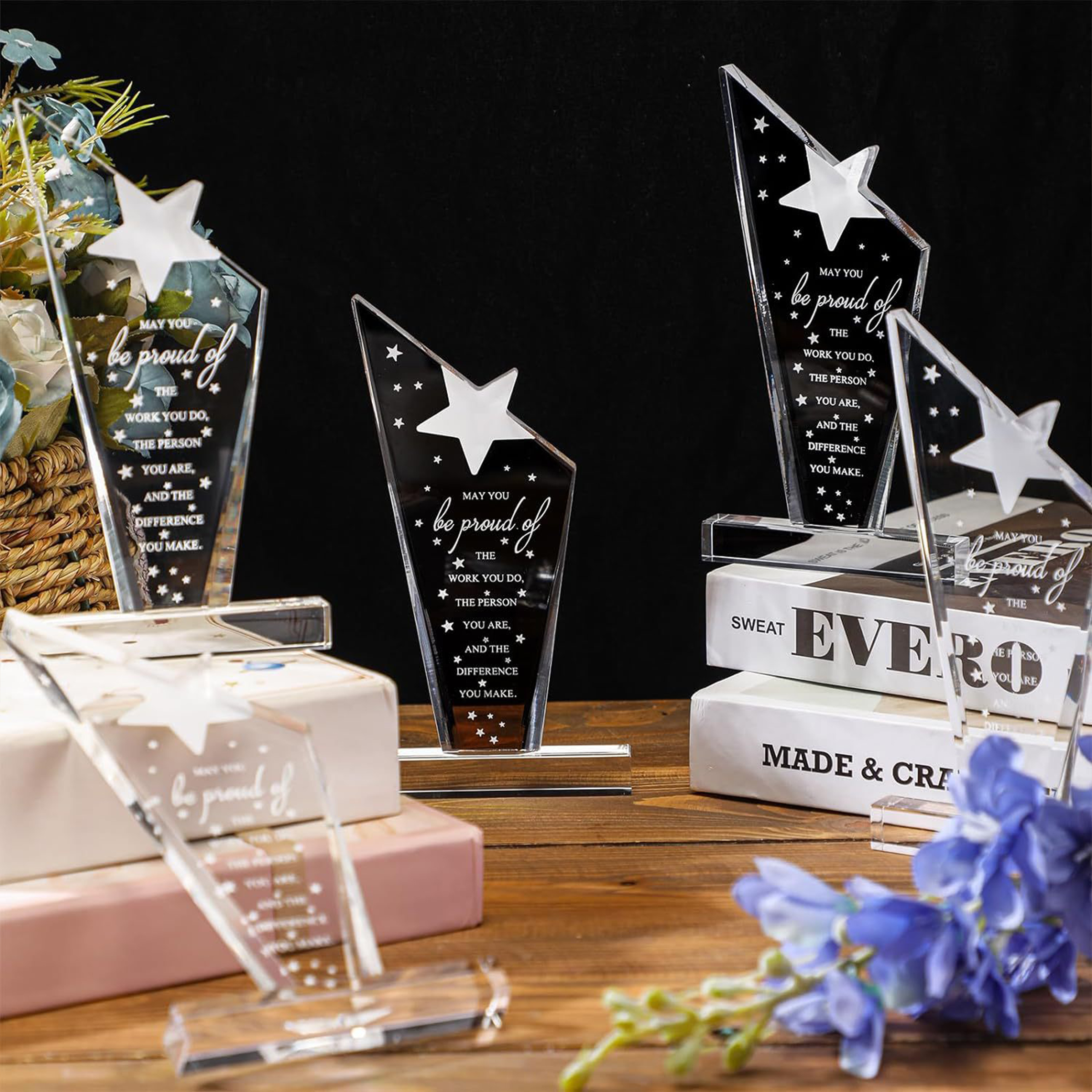 Acrylic Plastic Award Commemorative Trophy 5