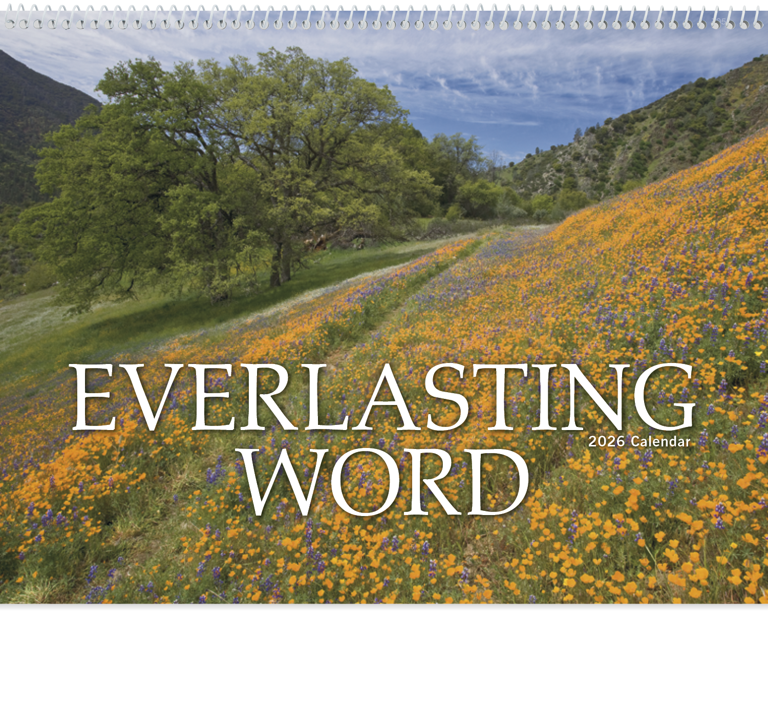 Good Value™ Everlasting Word without Funeral Planner - Spiral 24