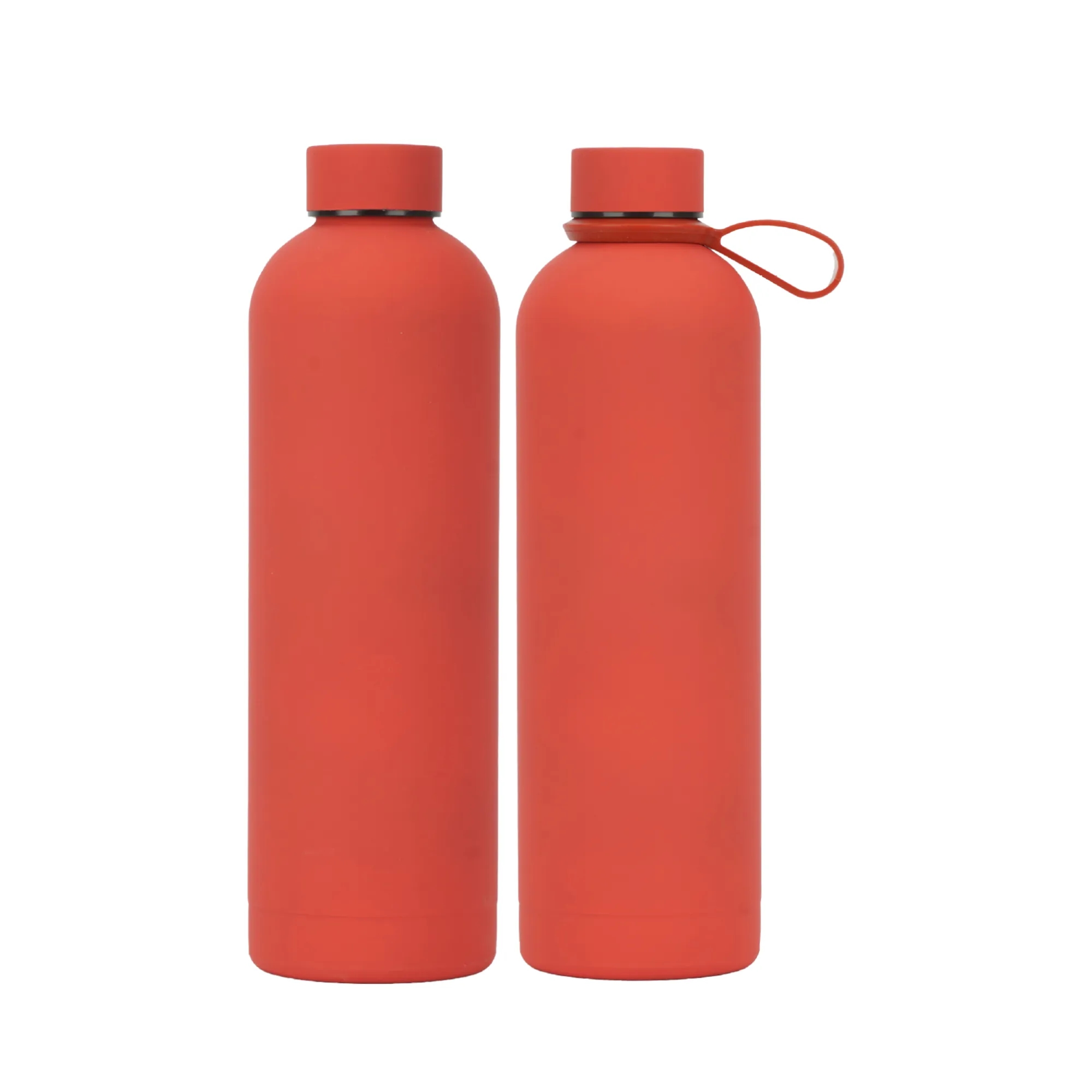 Premium Insulated Stainless Steel Water Bottle 17OZ 10
