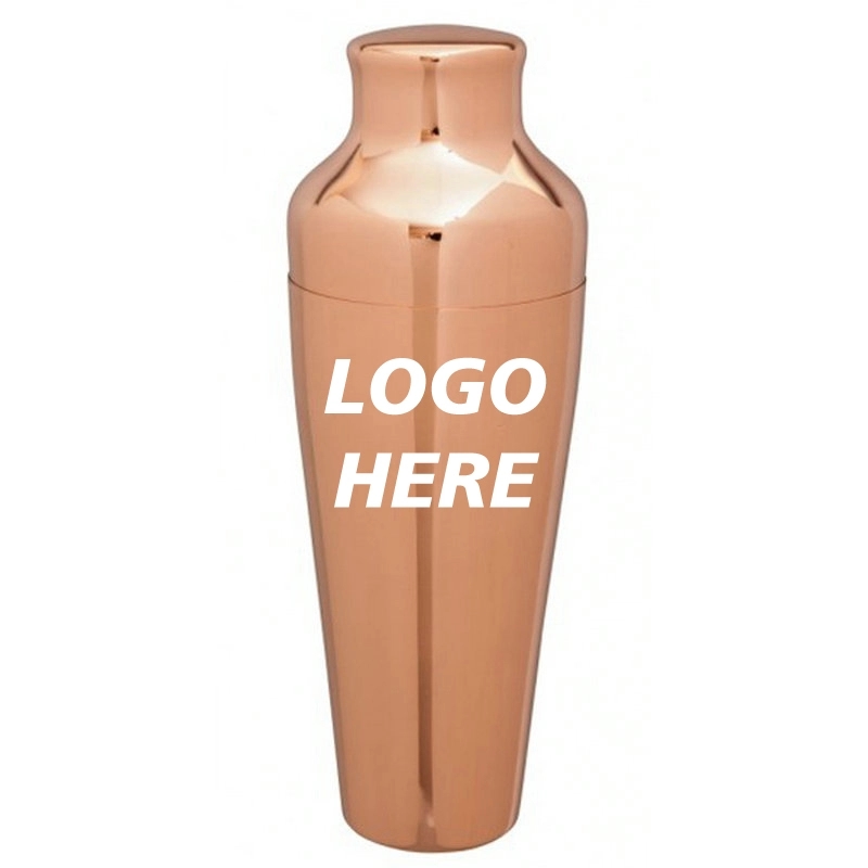 Custom Stainless Steel Cocktail Shaker Set 1