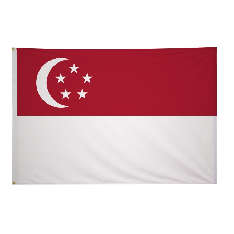 4' x 6' International Flags 93
