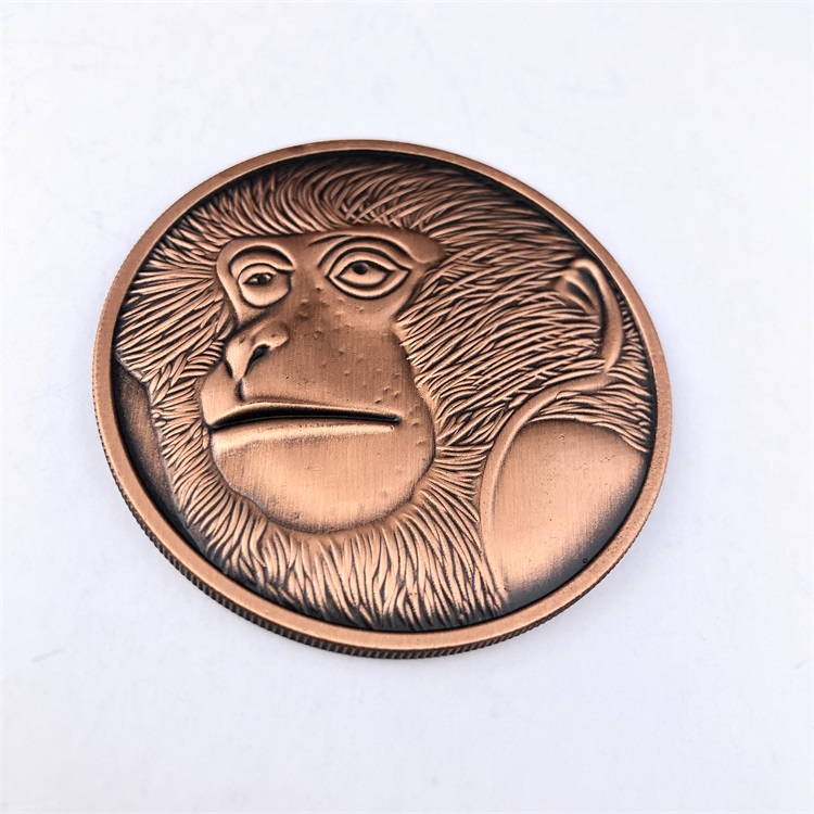 Brass Die Struck Challenge Coins 8