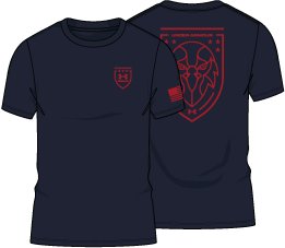Women's UA Freedom Graphic T-Shirt  2