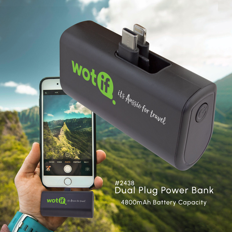 Dual Plug Power Bank 13