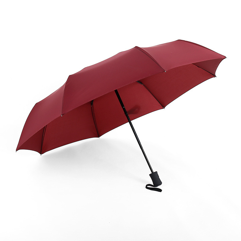 10-Rib Automatic Folding Umbrella 3