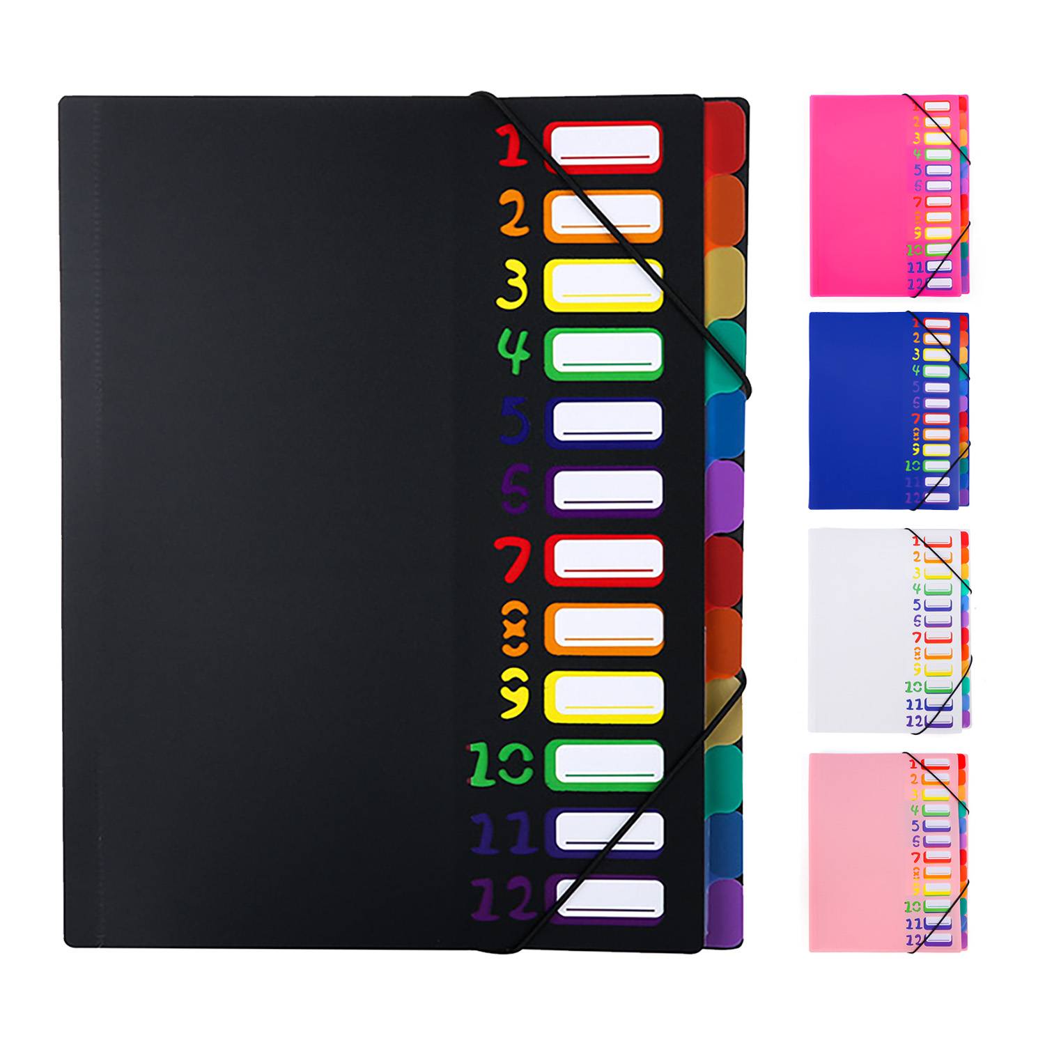12 Pockets Plastic Expanding File Folder 12