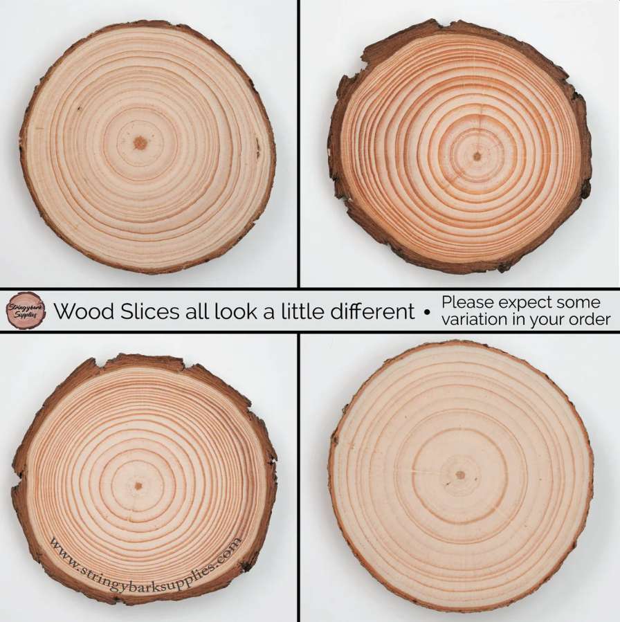 Wood Slice Token with Bark 6