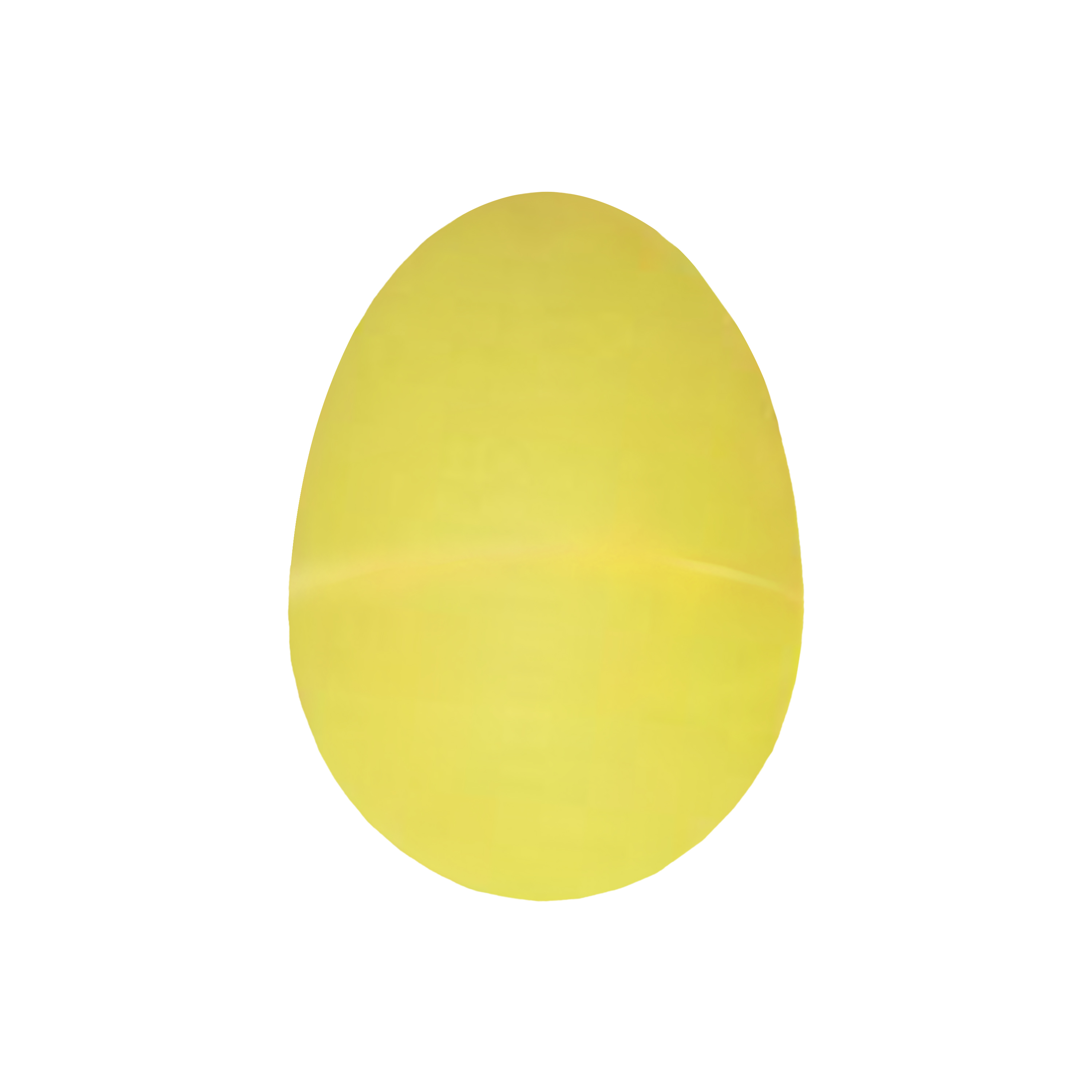 Durashake Egg Shakers 3