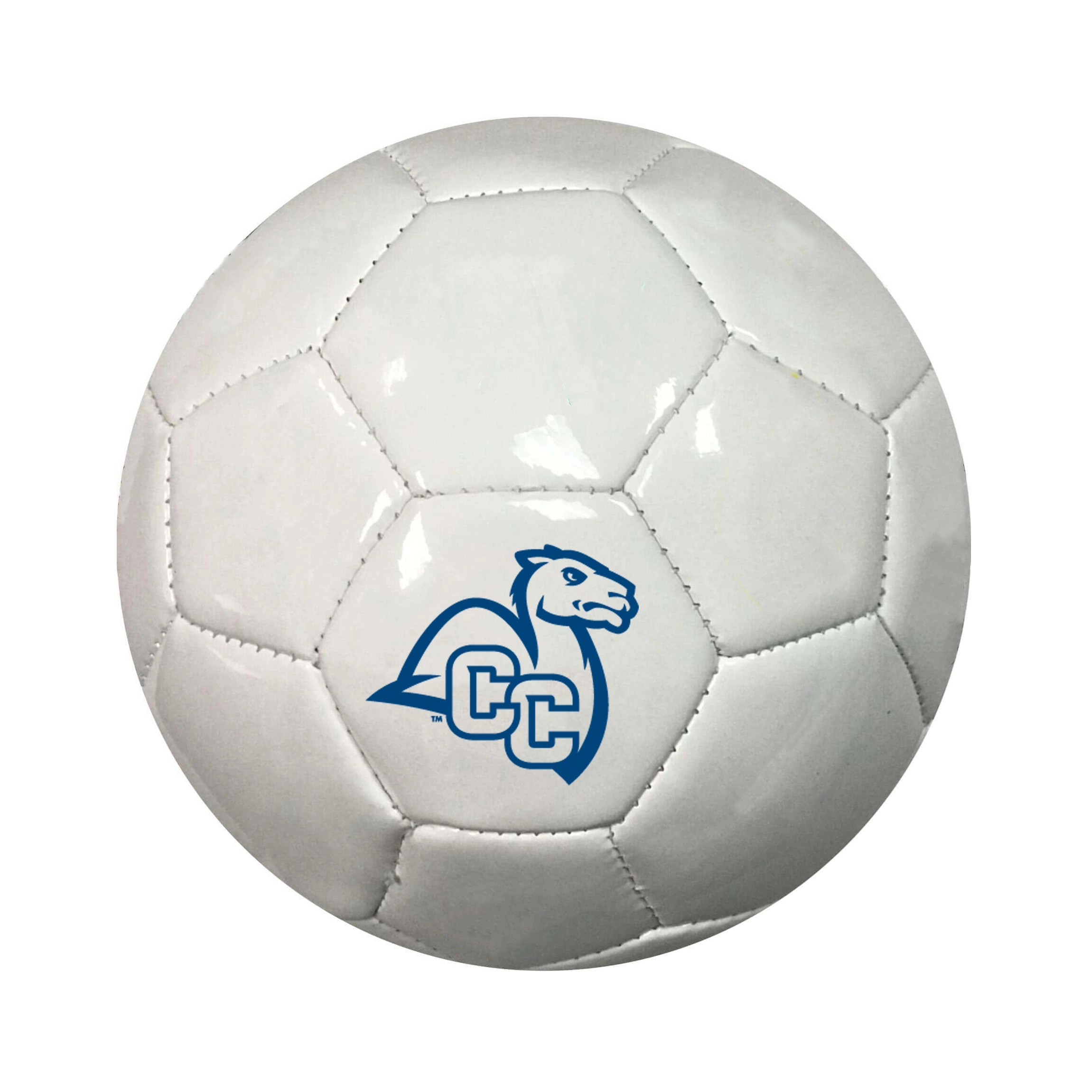 18" Custom Soccer Ball 5